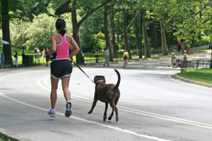 istock_000003703740xsmall