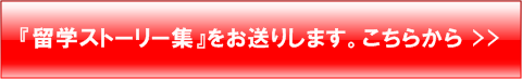 留学ストーリー集