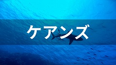 オーストラリア・ケアンズ留学