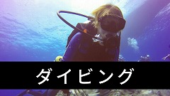 ダイビング留学