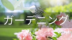 ガーデニング留学