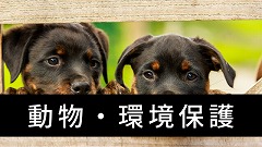 アニマルケアボランティア