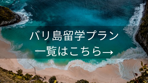 バリ島留学