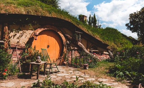 ニュージーランド留学